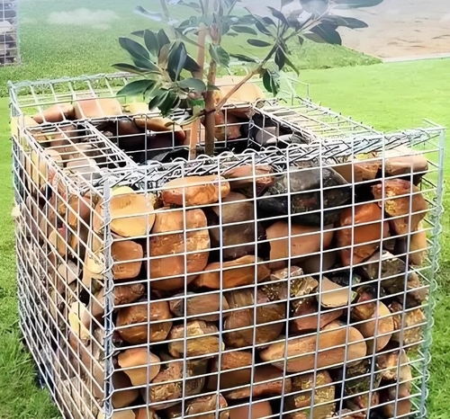 Latest company news about Cách mạng kiểm soát xói mòn: Sự kỳ diệu hiện đại của giỏ Gabion